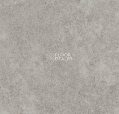 Линолеум Forbo Eternal Material 10032 fossil stucco фото 1 | FLOORDEALER